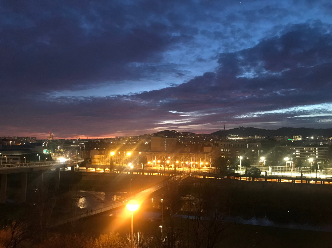 Parc del Molinet景点图片