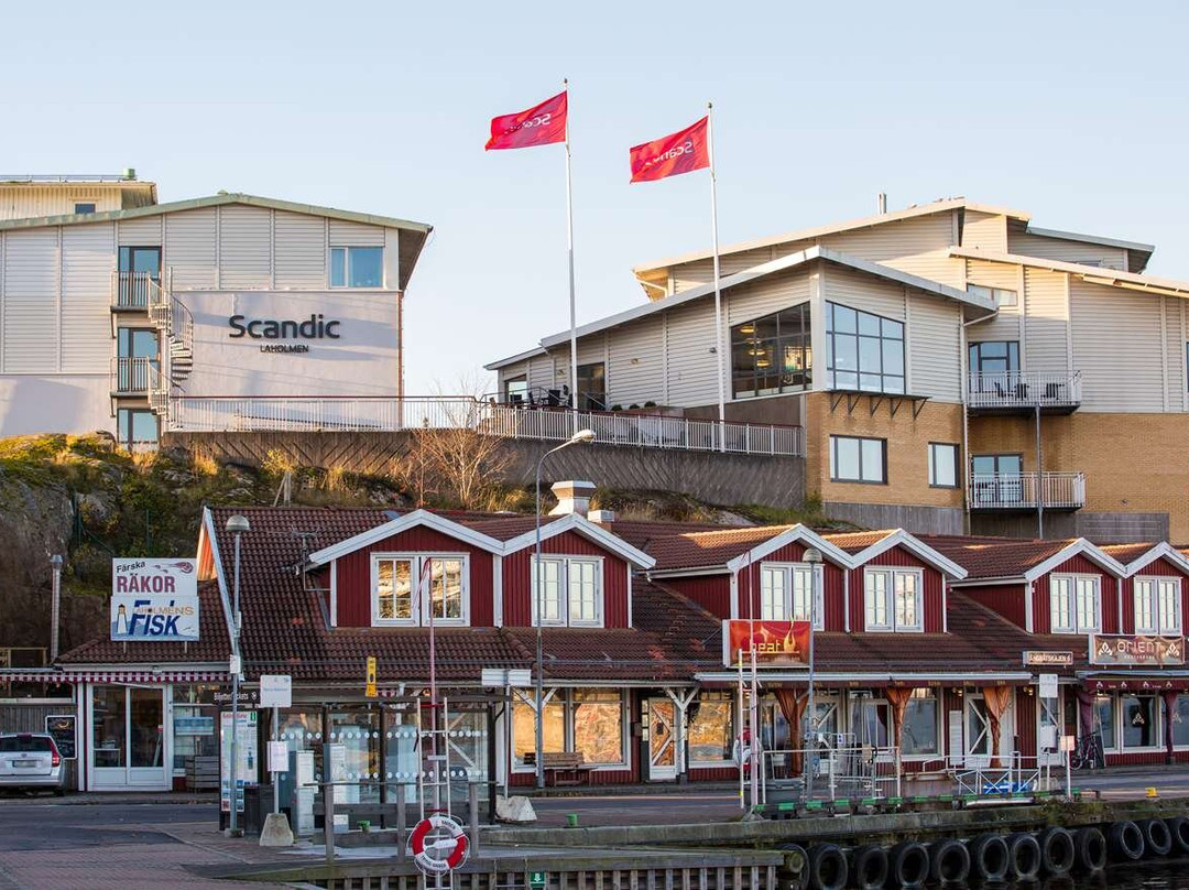 Skjaerhalden旅游攻略图片