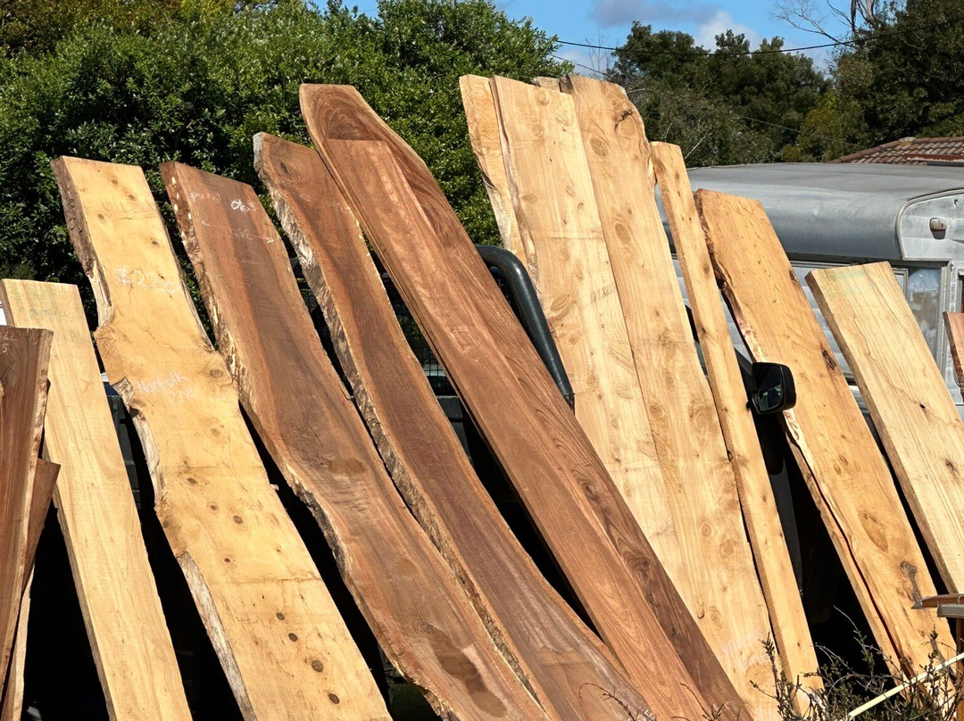 Wynyard Foreshore Market-温耶德必去景点