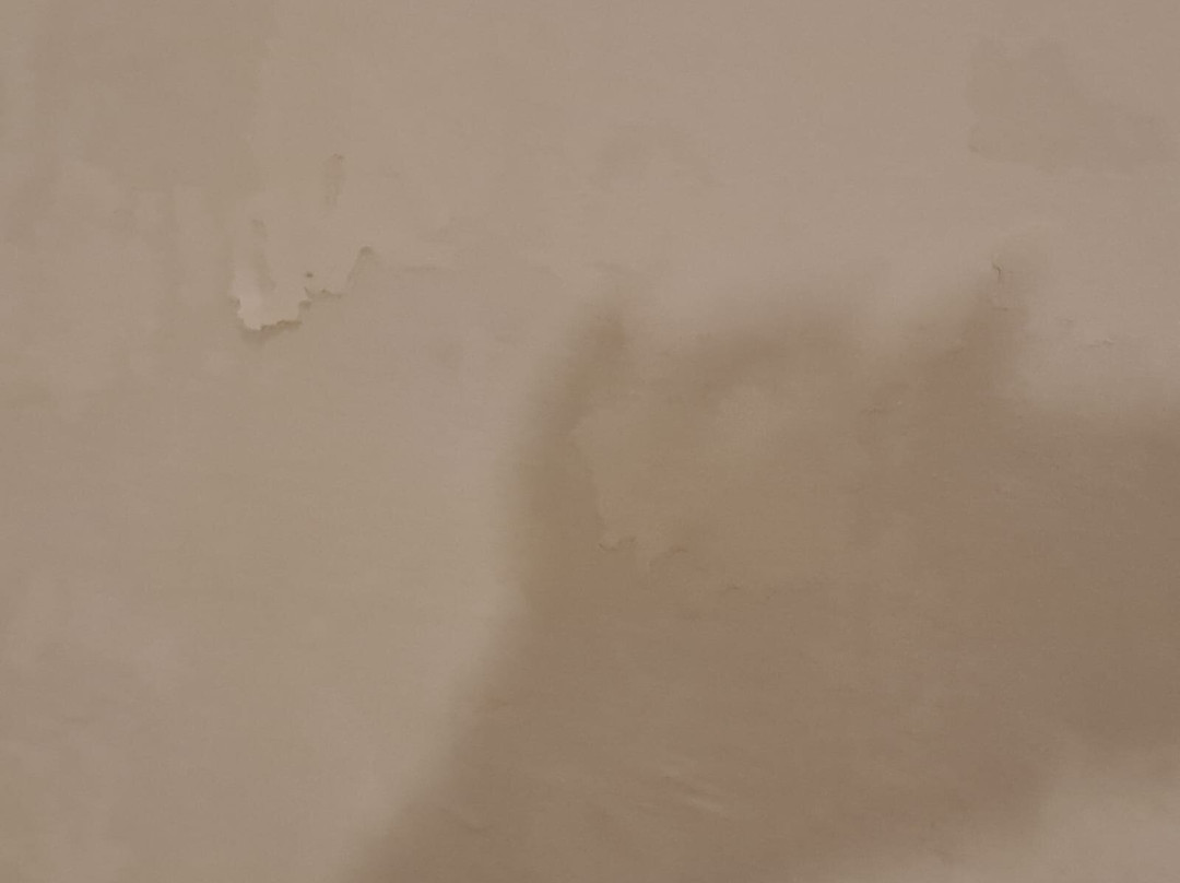 Park Hotel Paradiso主图