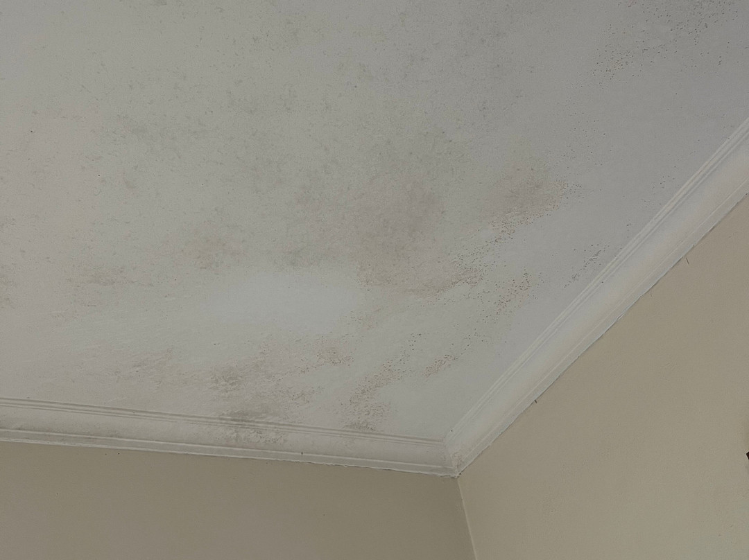 The Dormie House主图