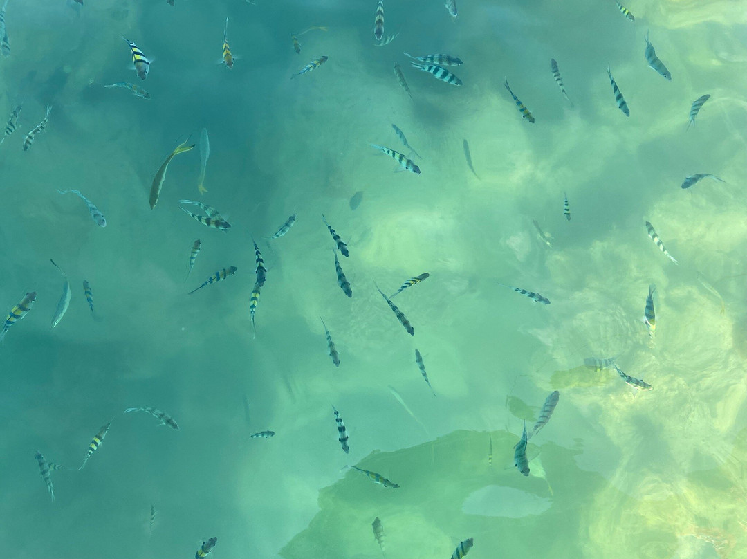 SAMUI INSOLITE-拉迈海滩必去景点