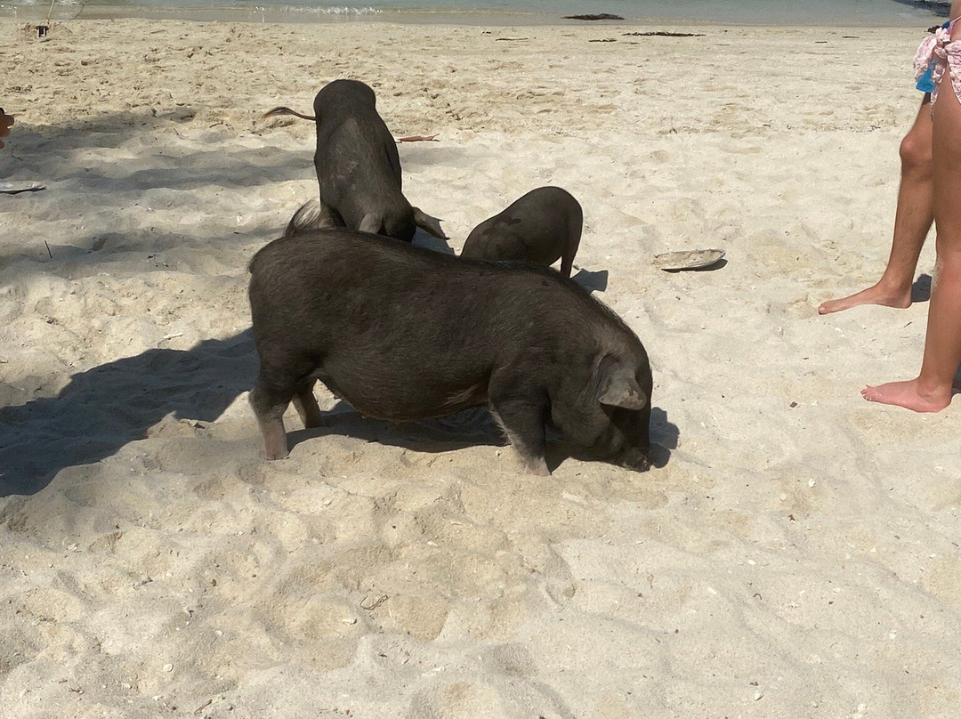 SAMUI INSOLITE-拉迈海滩必去景点