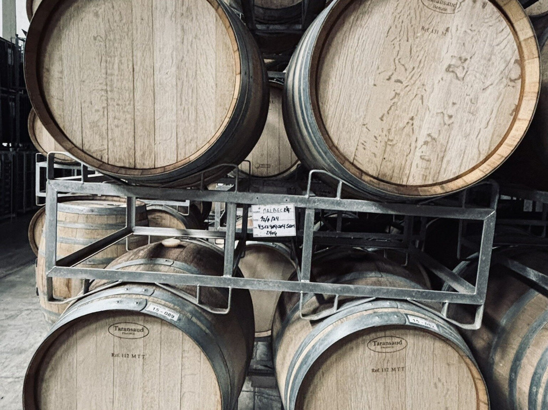 Bodega del Desierto S.A