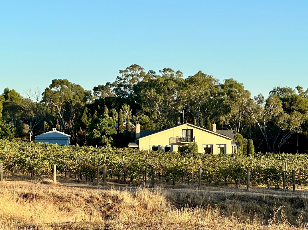 巴罗莎西拉乡村酒店主图