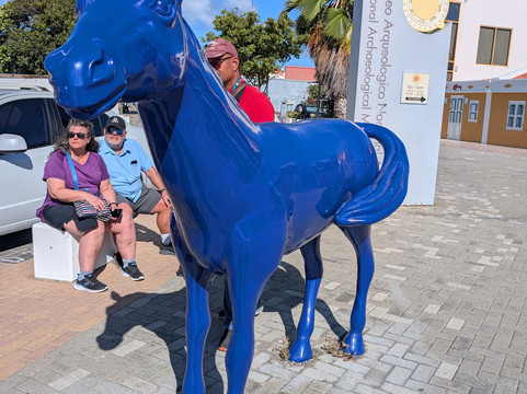 Aruba Downtown Walking Tours-奥腊涅斯塔德必去景点