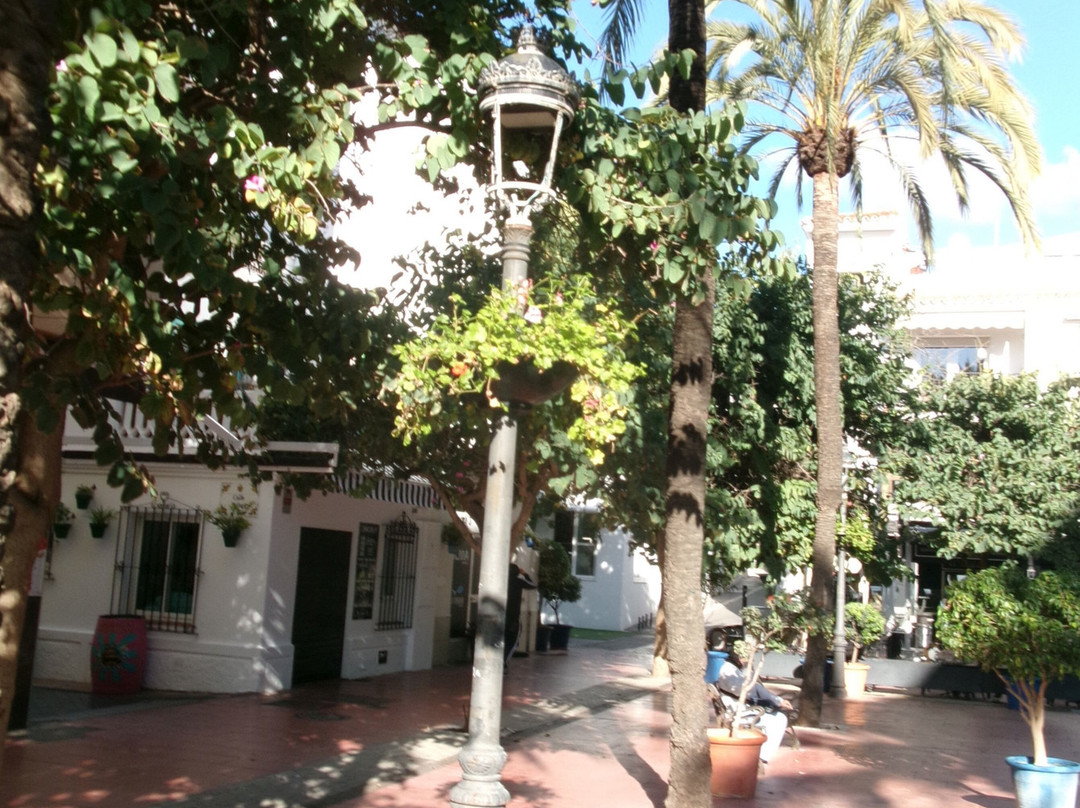 Plazoleta Ortiz景点图片