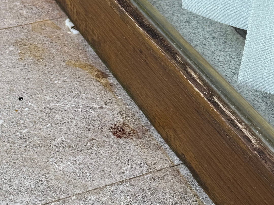 萨罗晋酒店主图