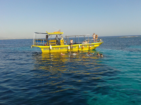 Yellow Glass Bottom Boat-帕福斯必去景点