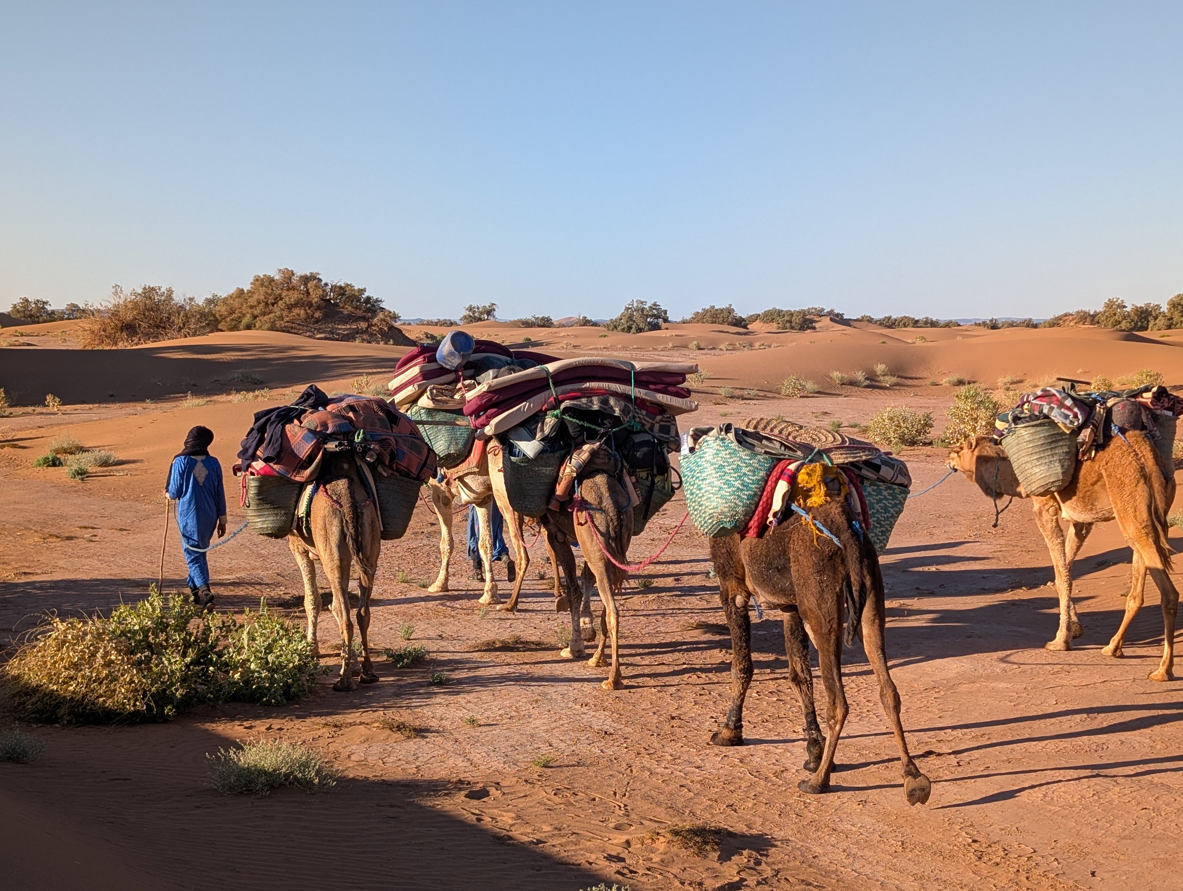 Bivouac  Mélodie du Desert-客卧