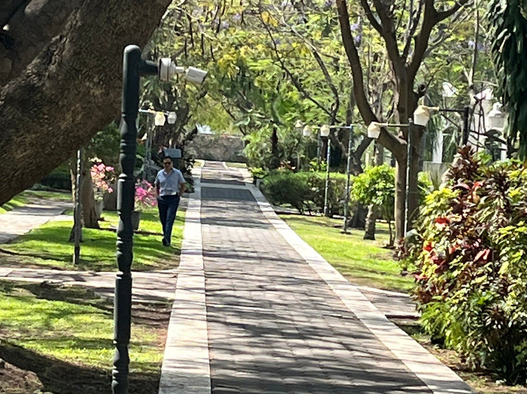 The Lorian Club主图