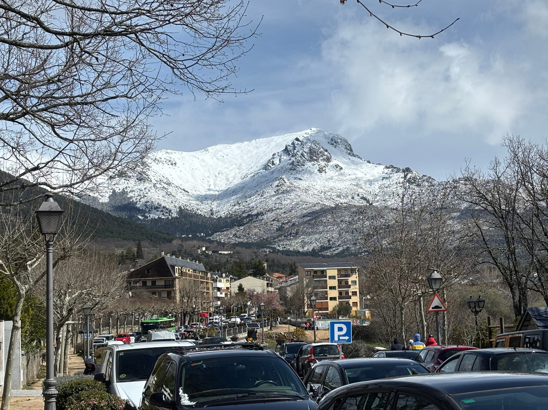 Box Art Hotel Alpino