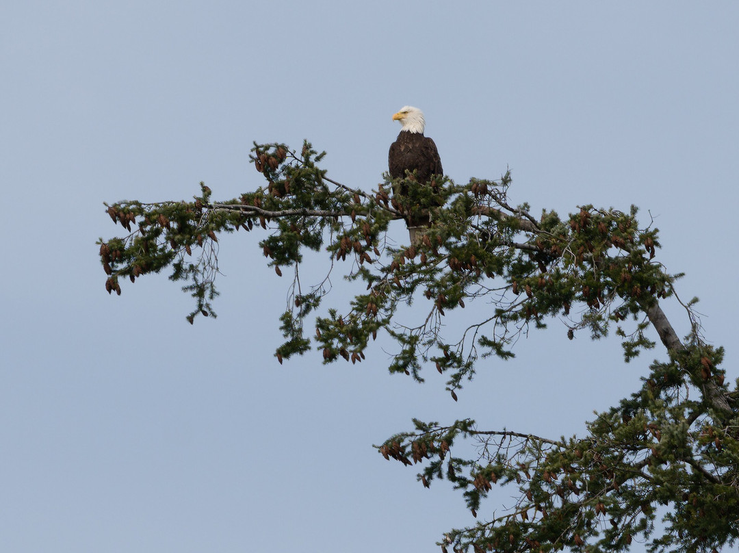 Metta Eco Experiences-Egmont必去景点