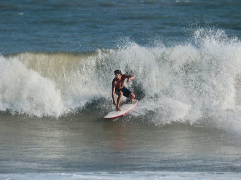 Charleston Surf Co.-福利比奇必去景点