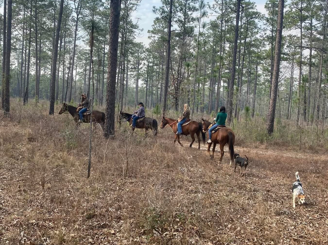 Believe The Journey Horse Services景点图片