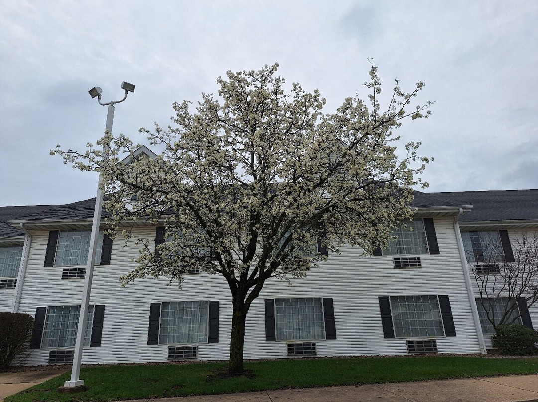 Northfield Inn, Suites & Conference Center主图