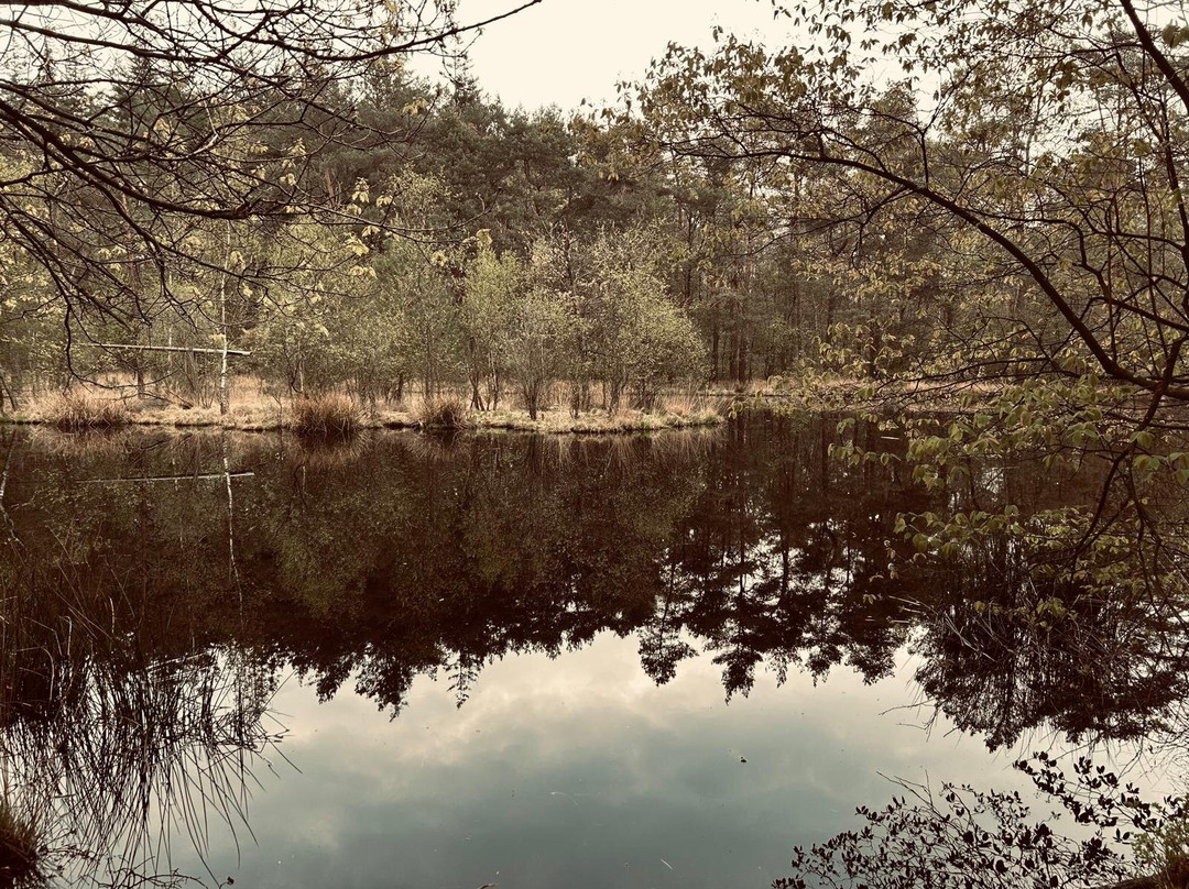 Viva la Veluwe Bed & Breakfast主图