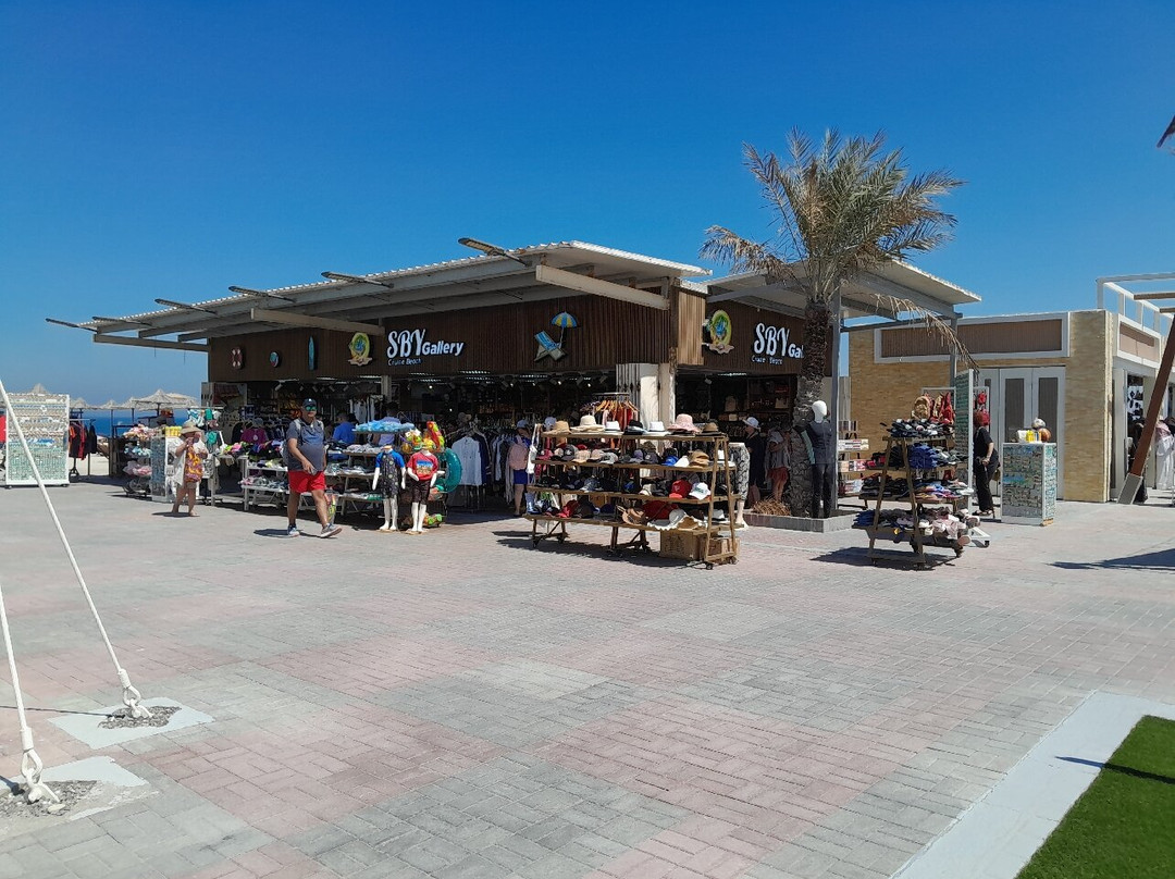 Sir Bani Yas Cruise Port