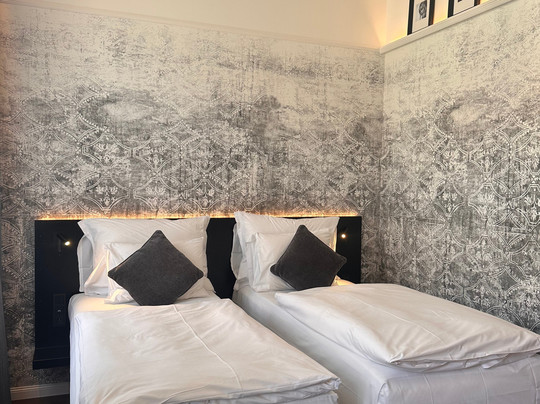 The Manes Boutique Hotel Prague主图