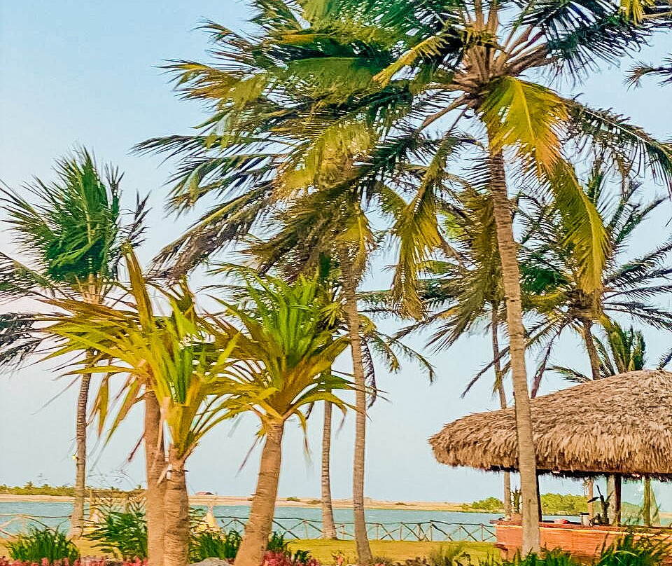 Ilha do Guajiru Kite Lagoon-Itarema必去景点