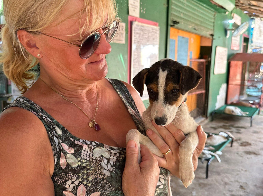 ARC Goa-格纳戈纳必去景点