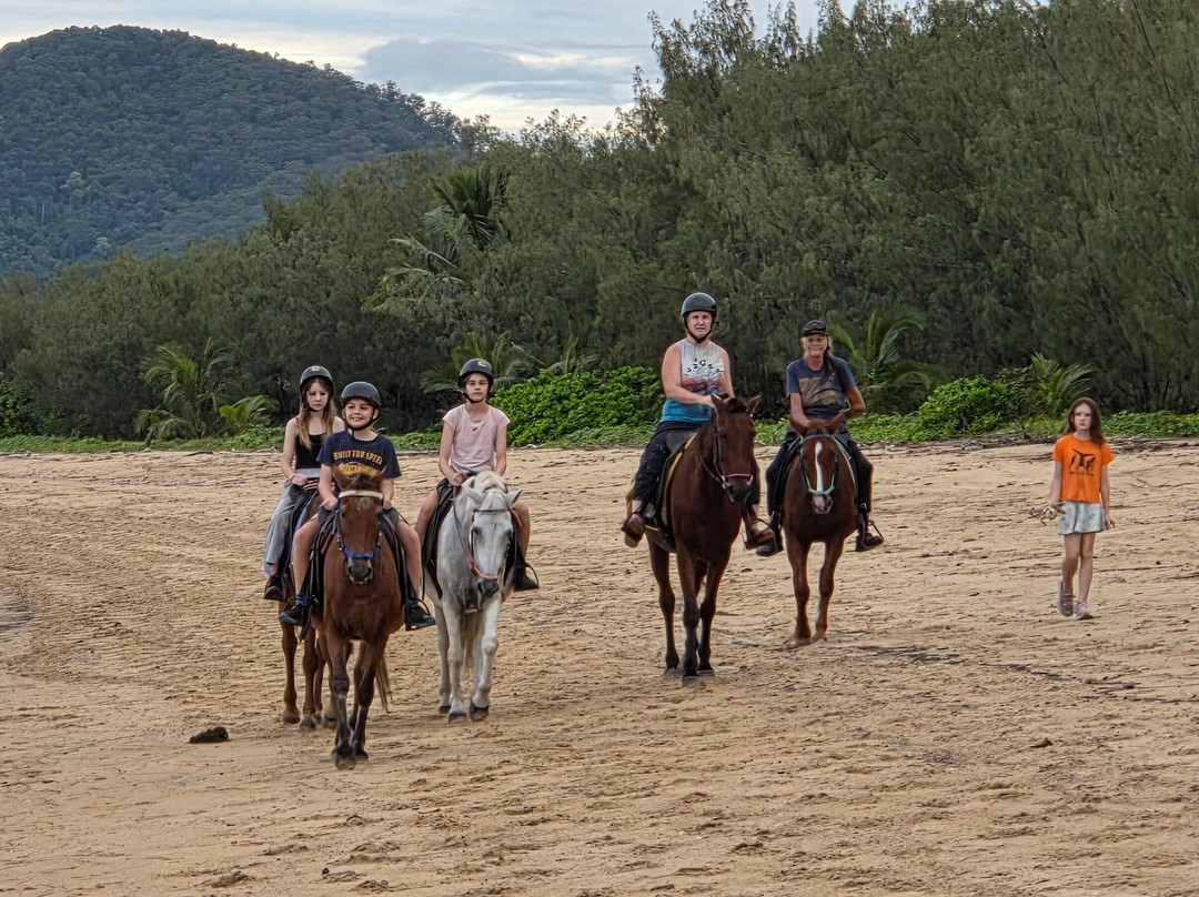Kurrimine Beach Horse Rides景点图片