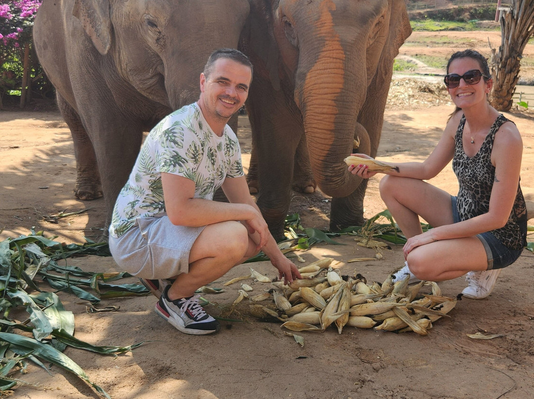Elephant Steps Chiang Rai-清莱必去景点