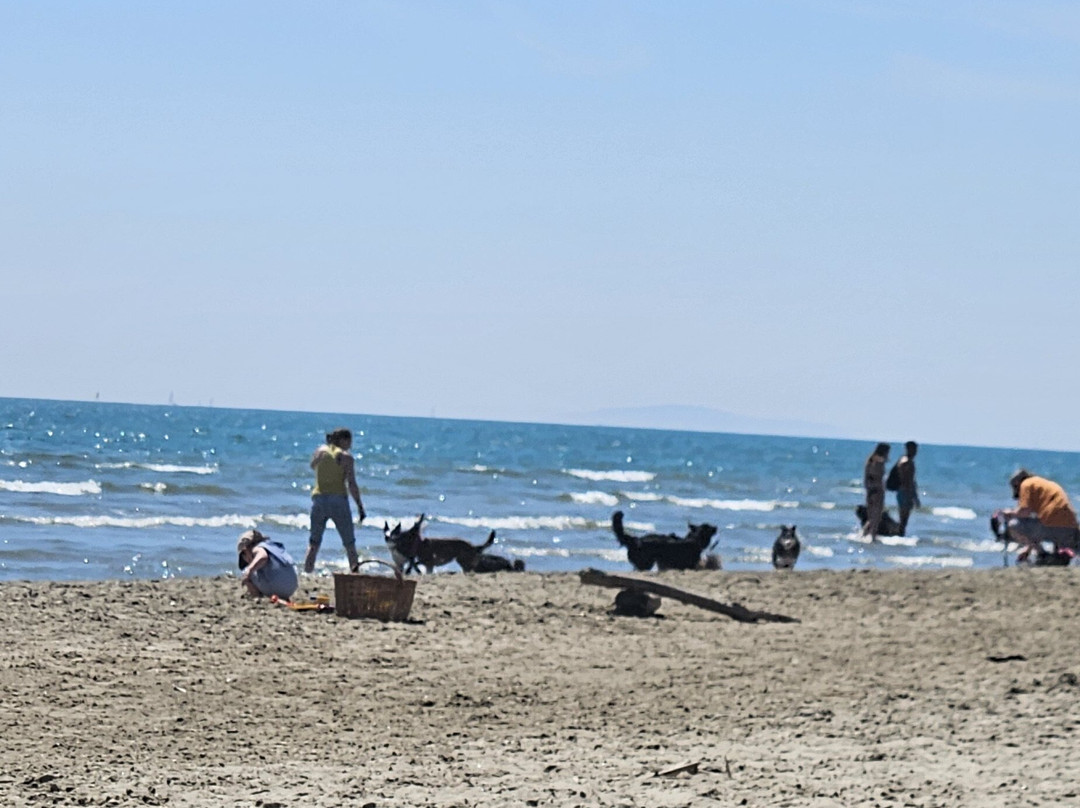 Plage du Grand Travers景点图片