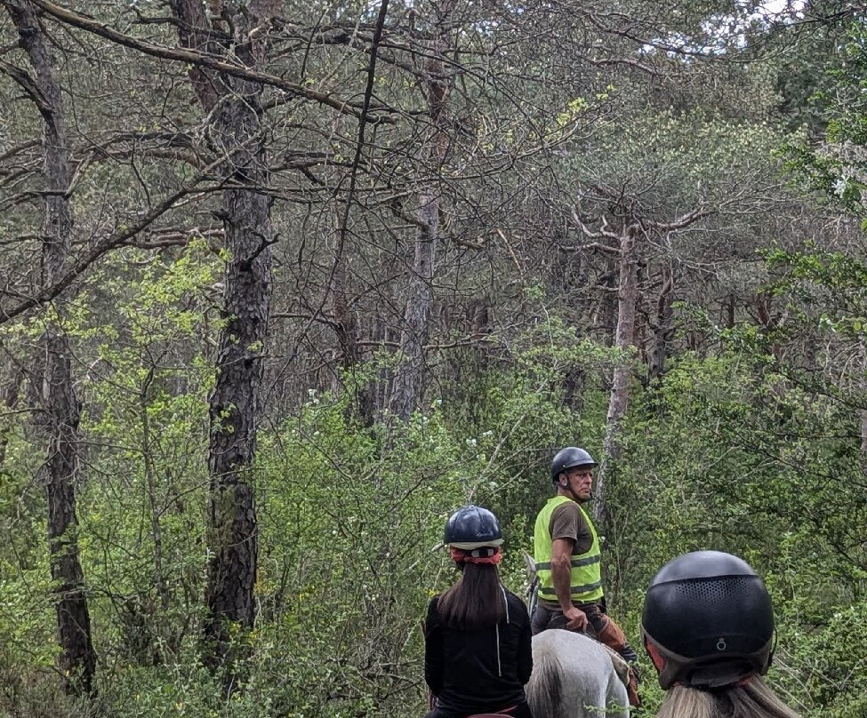 Caballos Sarvise-Sarvise必去景点