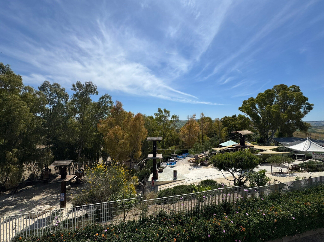 Parco Avventura Il Boschetto景点图片