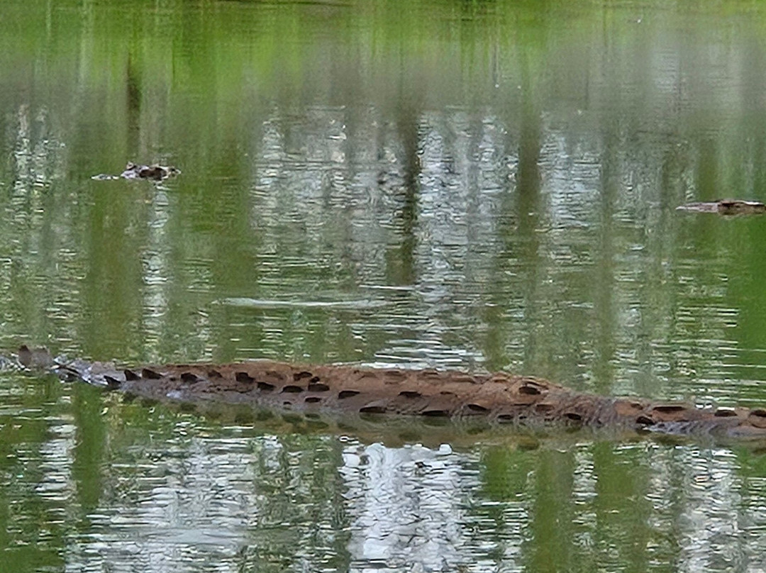 Crocodile Farm-Moron必去景点