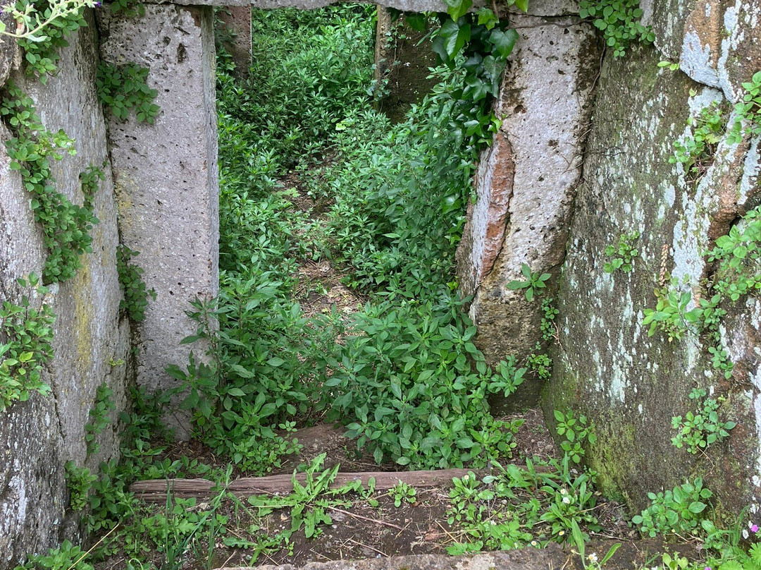 Necropoli Etrusca Di Crocifisso Del Tufo-奥尔维耶托必去景点
