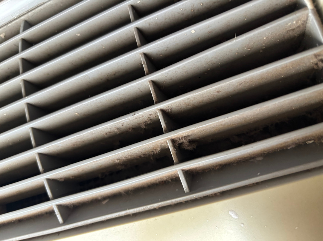 Sleep Inn University主图