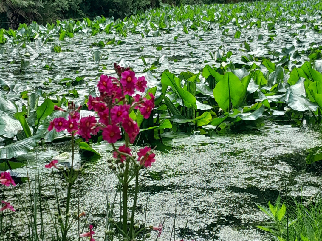 Enys Gardens-Penryn必去景点
