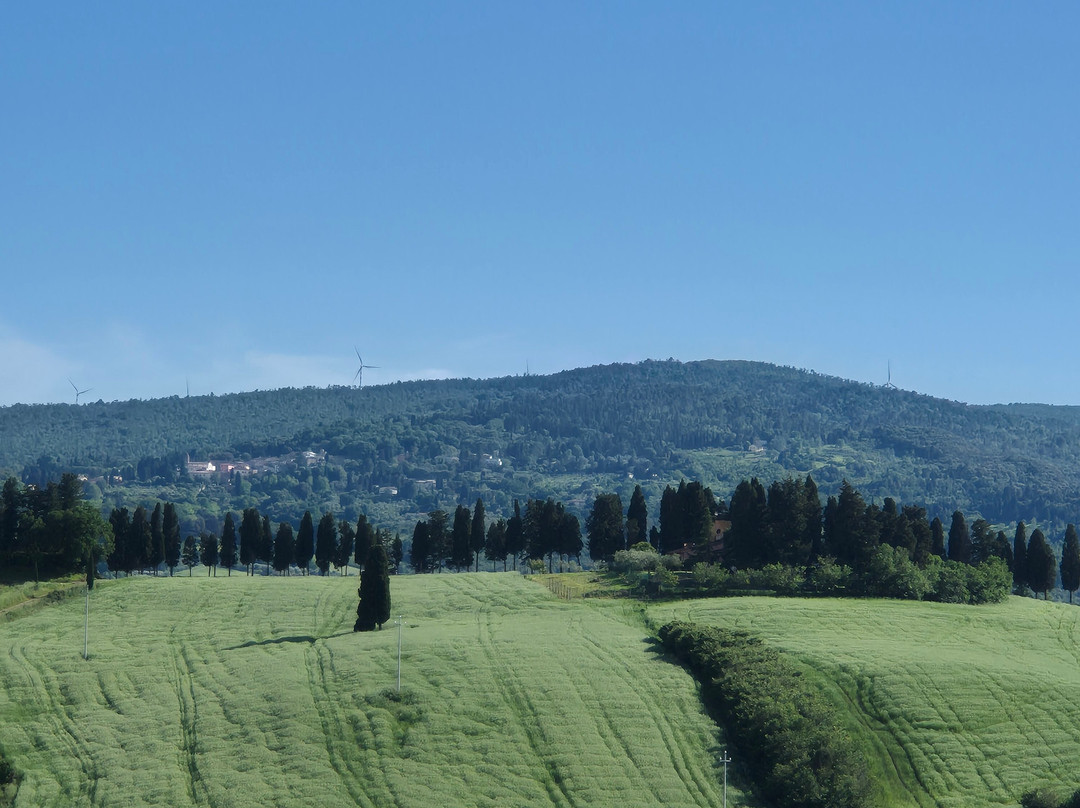 Teatro Del Silenzio-Lajatico必去景点