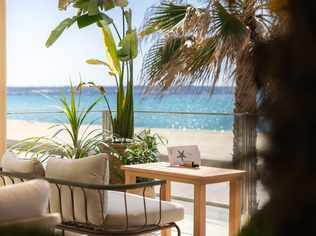 Hotel Eden Palma Playa主图