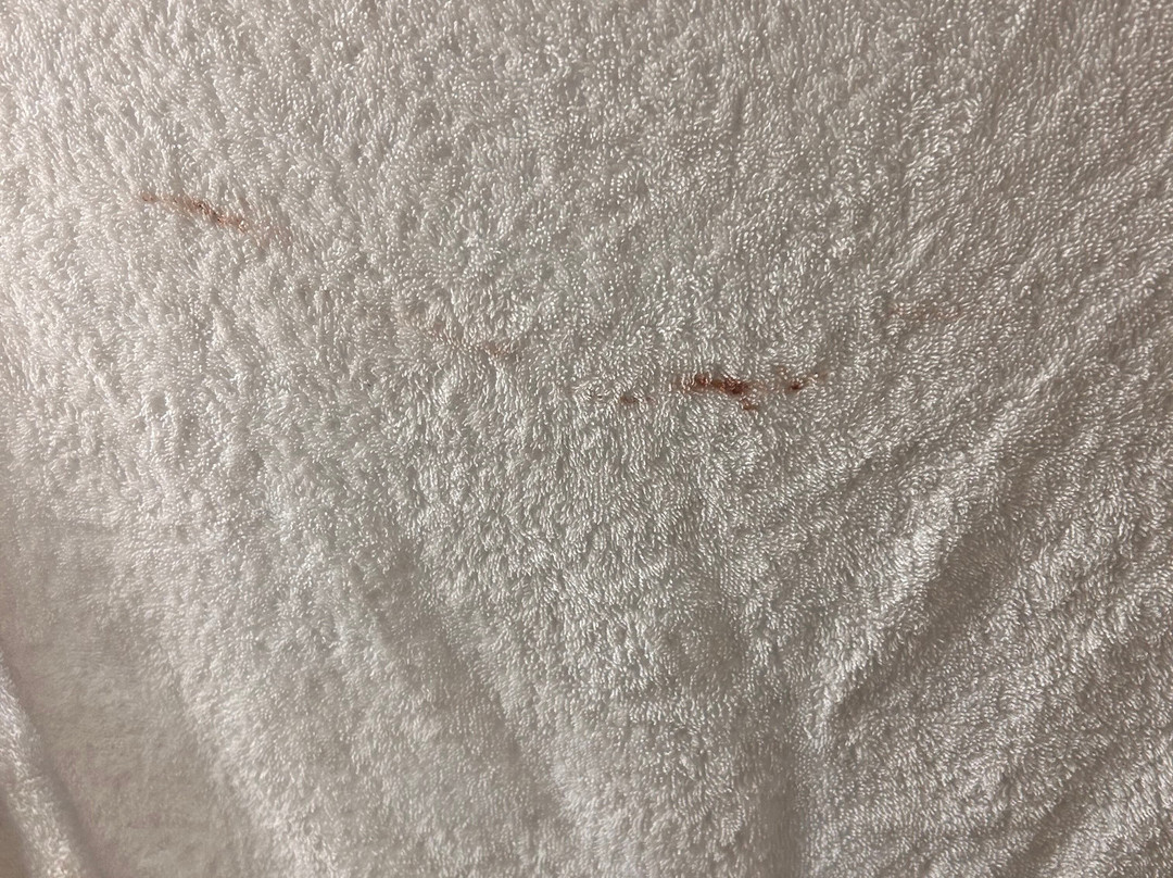 La Quinta Inn & Suites/New River Gorge National Park主图