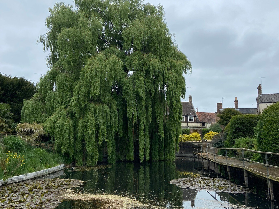 Elgood's Brewery and Gardens-Wisbech必去景点