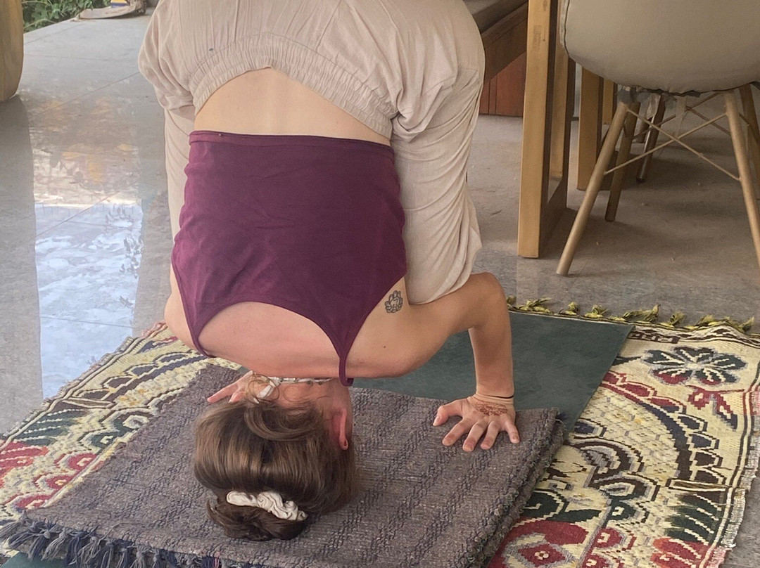 Pushkar Yoga Garden景点图片