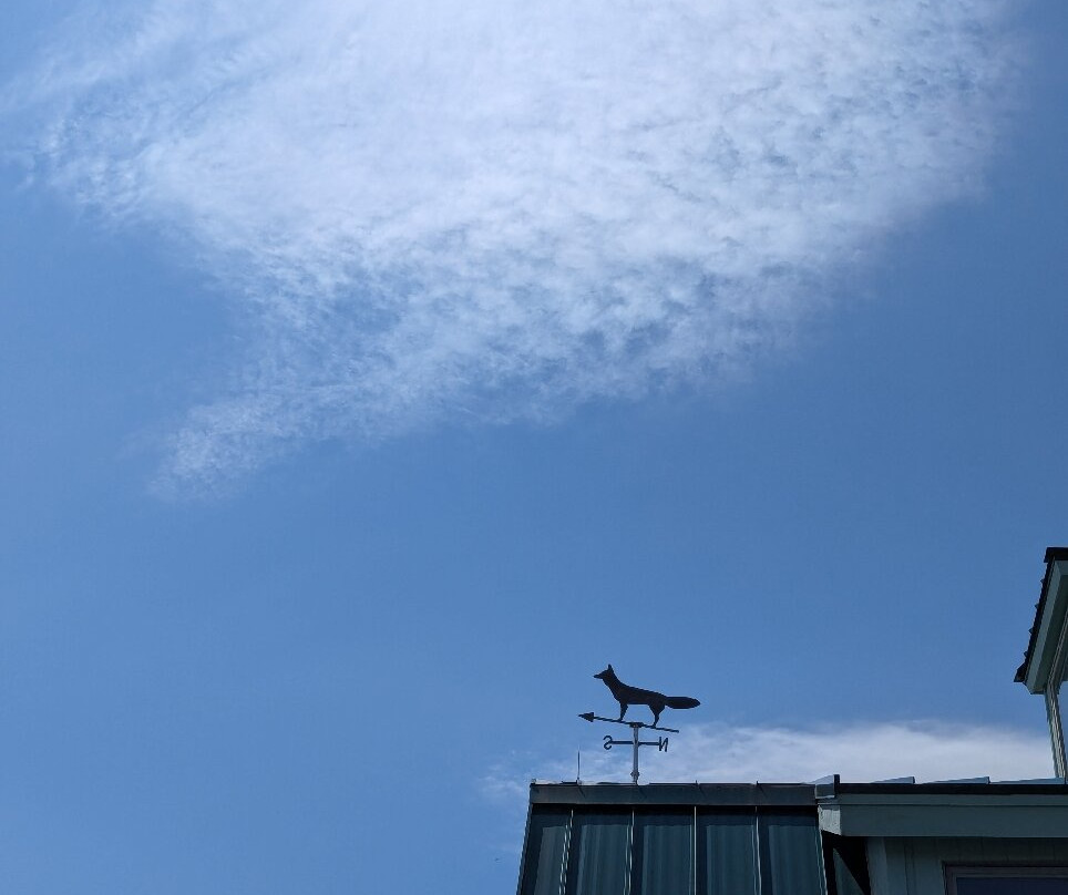 Fox Run Vineyards-Penn Yan必去景点