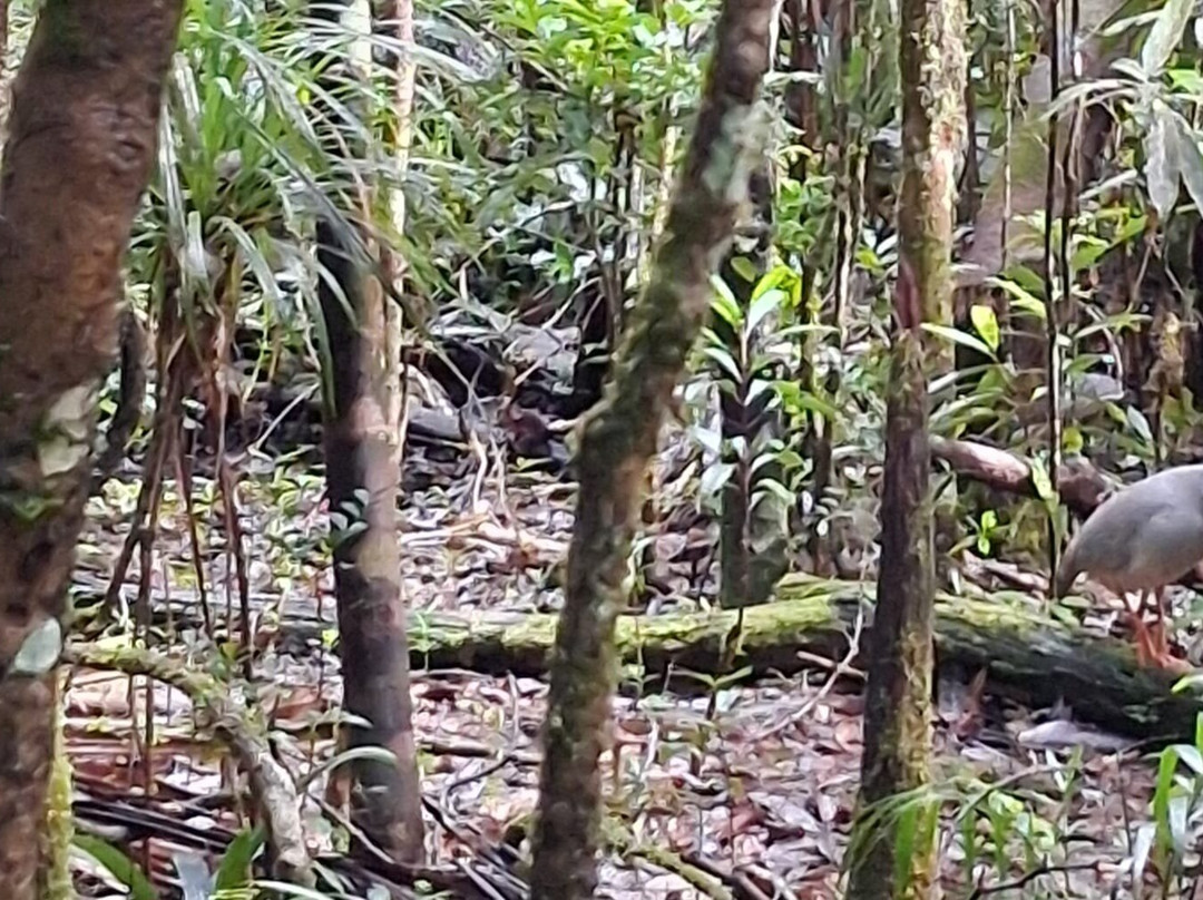 Fernando Tourisme-努美阿必去景点