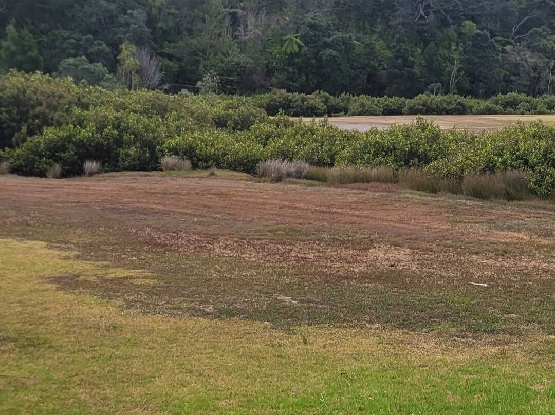 Little Shoal Bay Reserve-诺斯科特必去景点