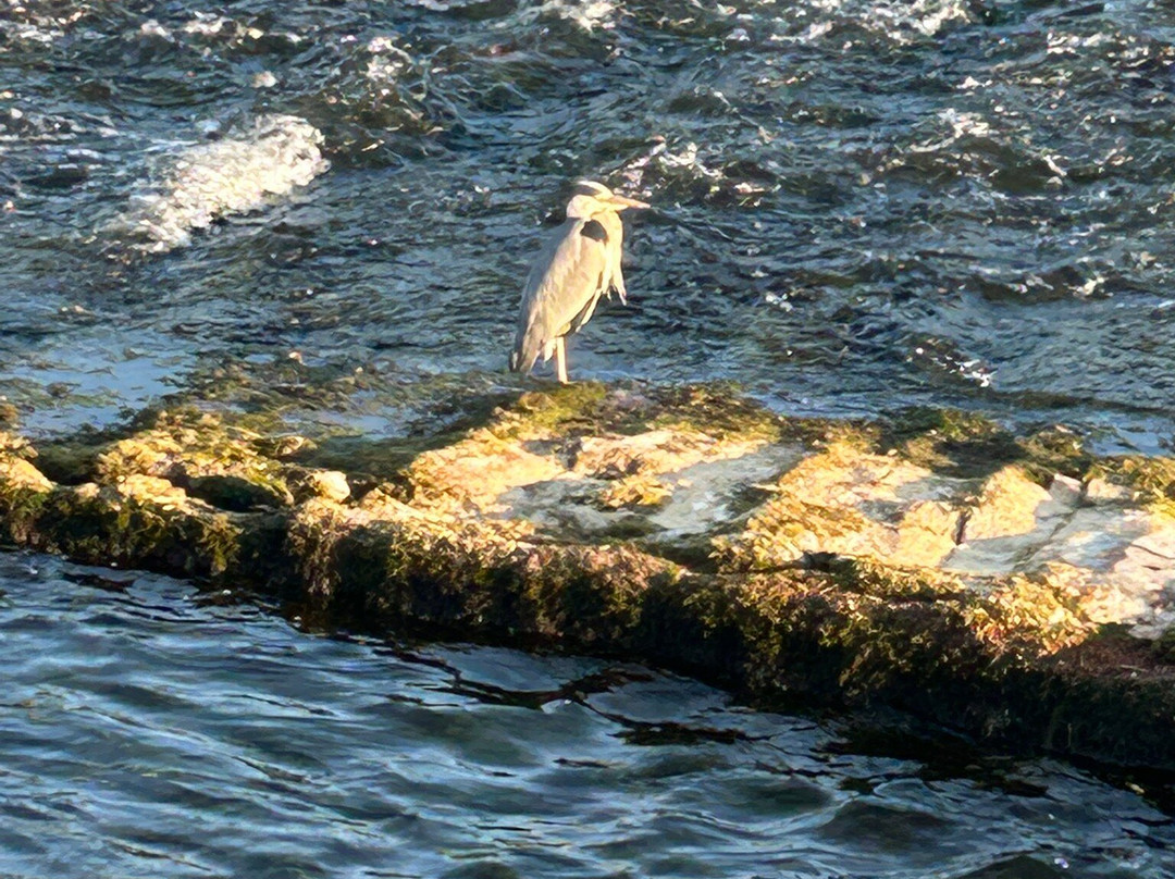 Dumfries Villa主图