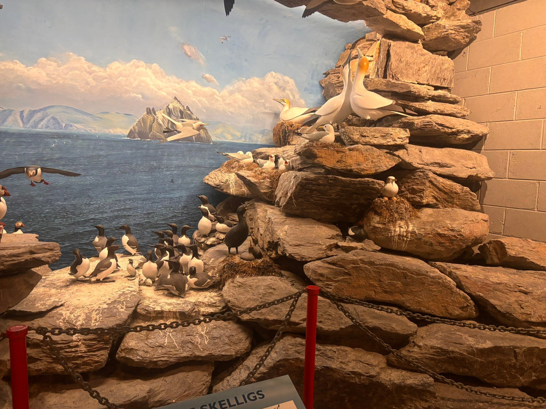 The Skellig Experience Visitor Centre-凯里郡必去景点