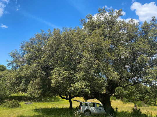 Ecoturismo Monfragüe-卡塞雷斯必去景点