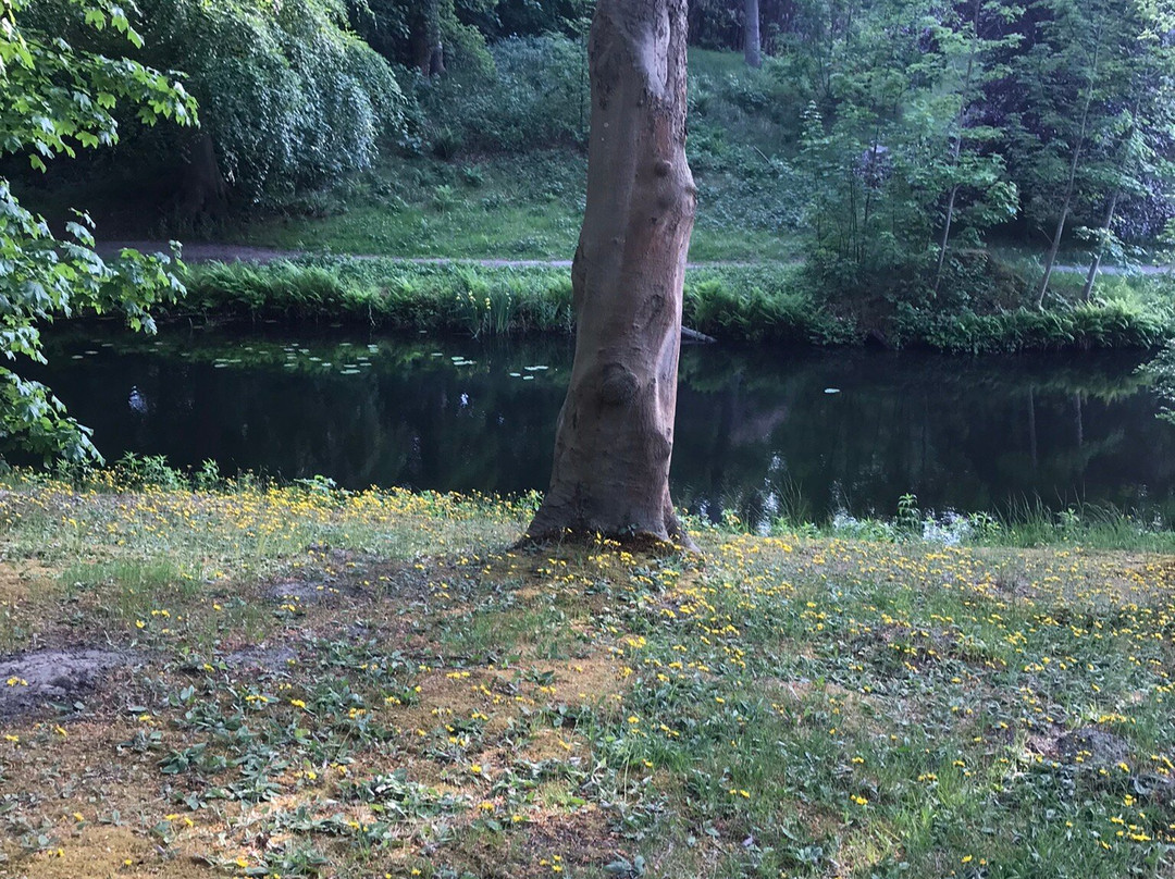 Elswout wandel-park van Staatsbosbeheer景点图片