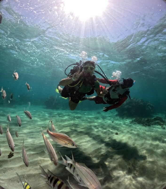 Maracajaú Diver-Maracajau必去景点