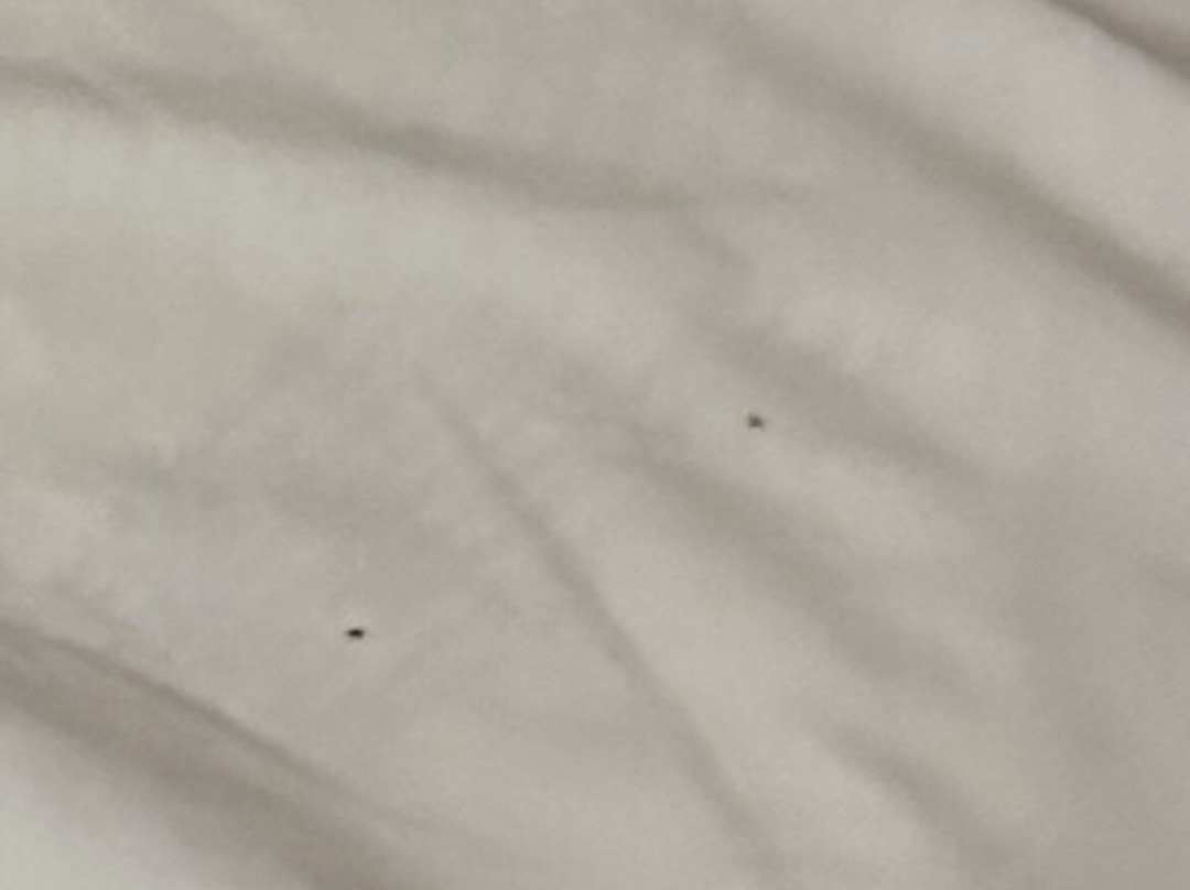 Salt Fork State Park-Cambridge必去景点