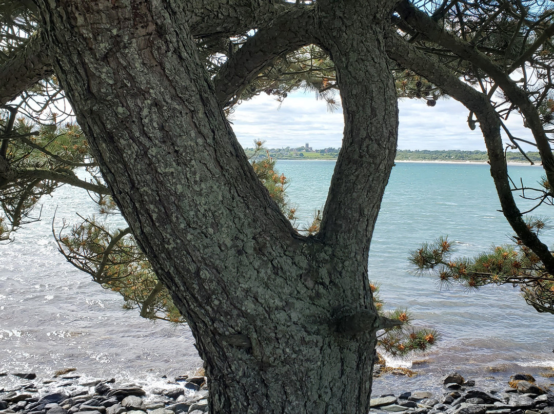 Sachuest Point National Wildlife Refuge-米德尔敦必去景点