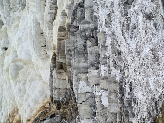 Road Scholar-波士顿必去景点